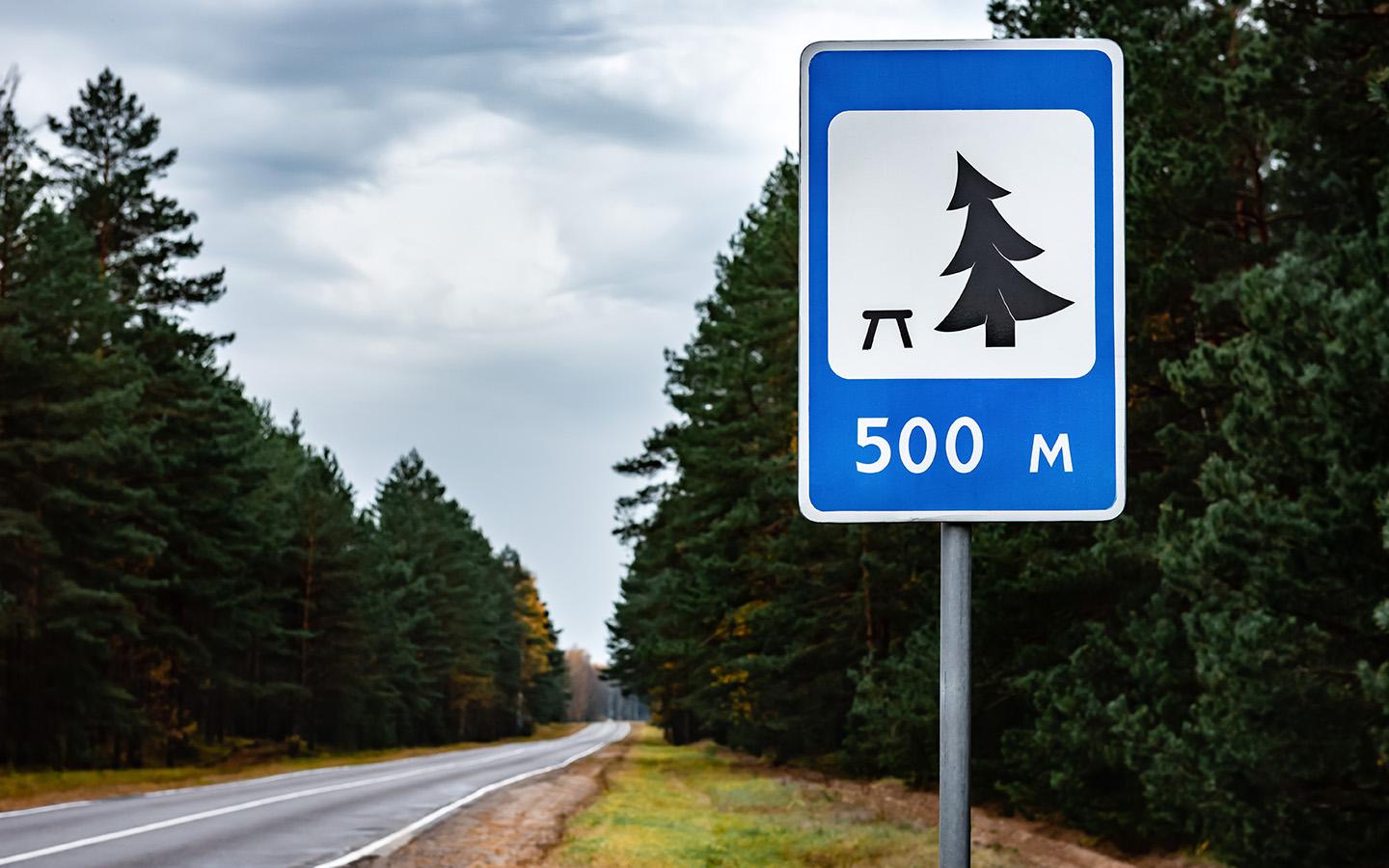 Фото: Natallia Ploskaya / Shutterstock / FOTODOM