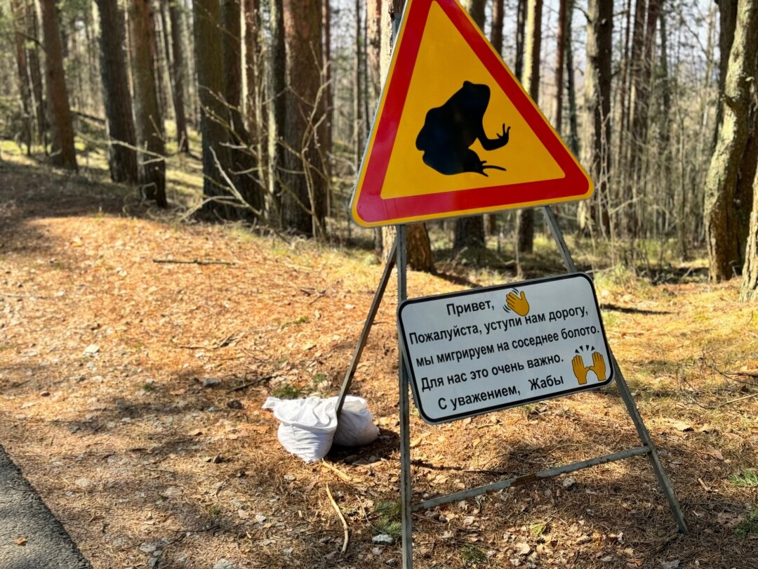 На территории заказника