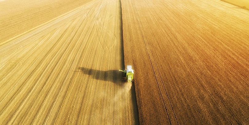 Фото: Shutterstock